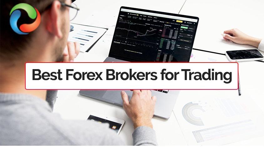 Why Is Choosing Forex Brokers So Crucial for Traders? 

